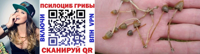 Псилоцибиновые грибы MAGIC MUSHROOMS  Купить  Гусиноозёрск 
